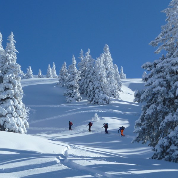 Gruppe auf Skiern geht durch den Schnee